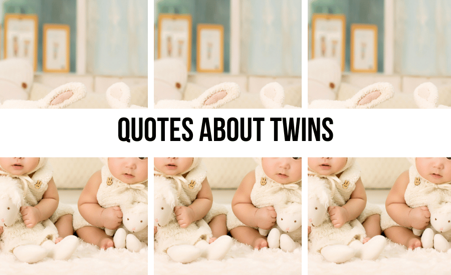 twin-mom-quotes