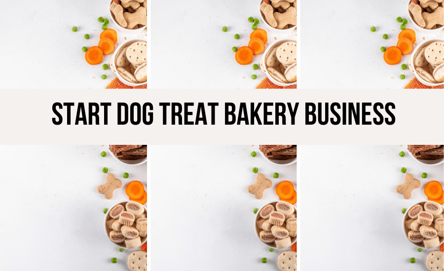 dog-biscuit-business