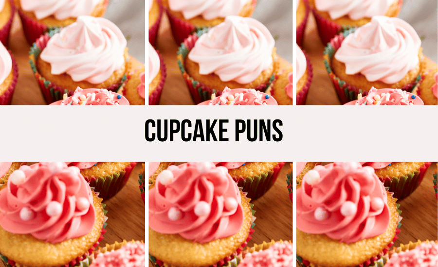 puns-about-cupcakes
